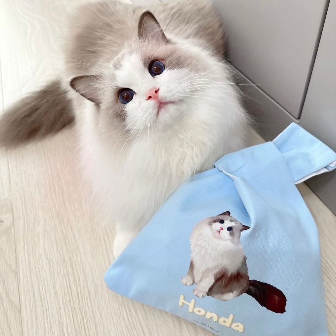 Custom Bag