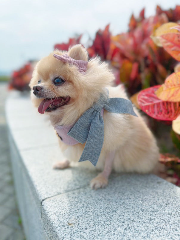 Custom Pet Bandana - Lavender Bliss