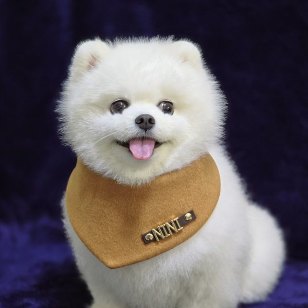 Custom Pet Bandana - Tangerine Dream