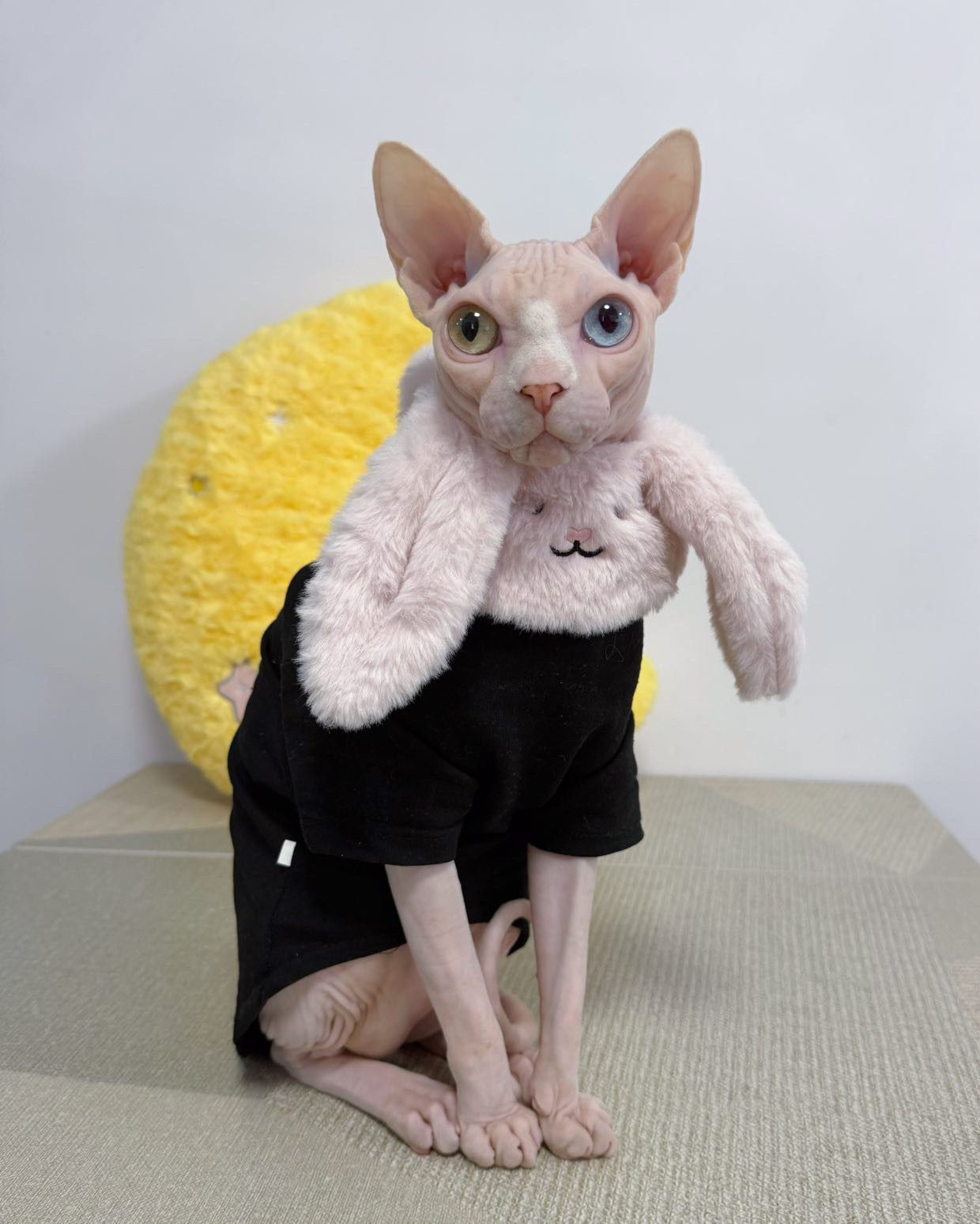 Rabbit - Pet Bib