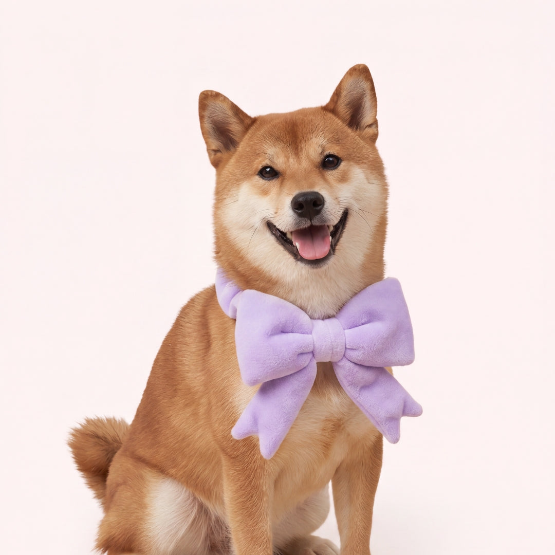 The Bow (Lavender) - Pet Bib