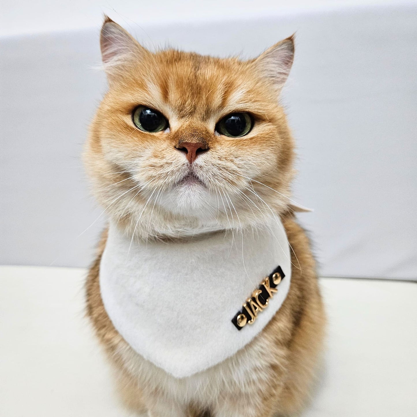 Custom Pet Bandana - Snowy Puff