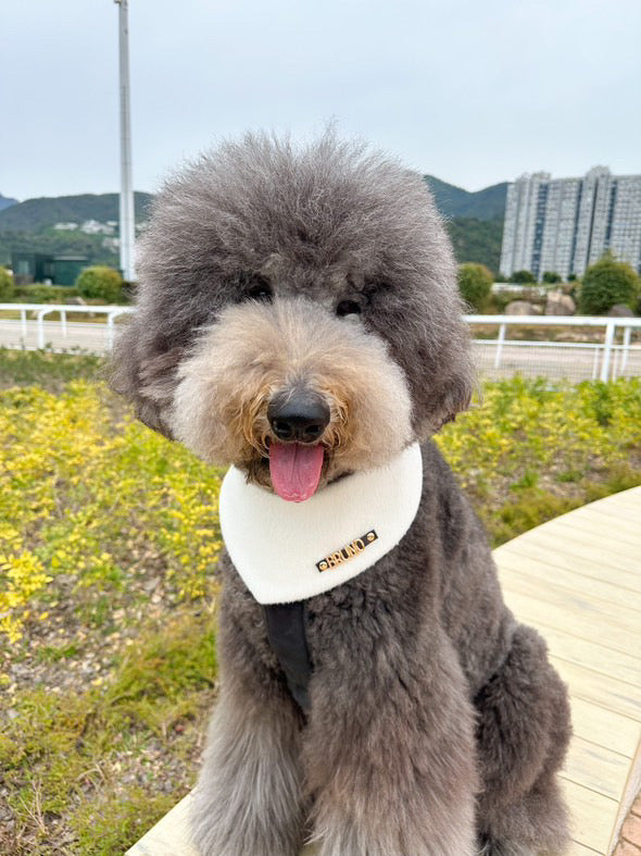 Custom Pet Bandana - Snowy Puff