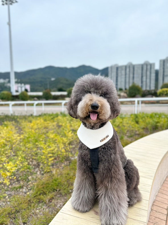 Custom Pet Bandana - Snowy Puff