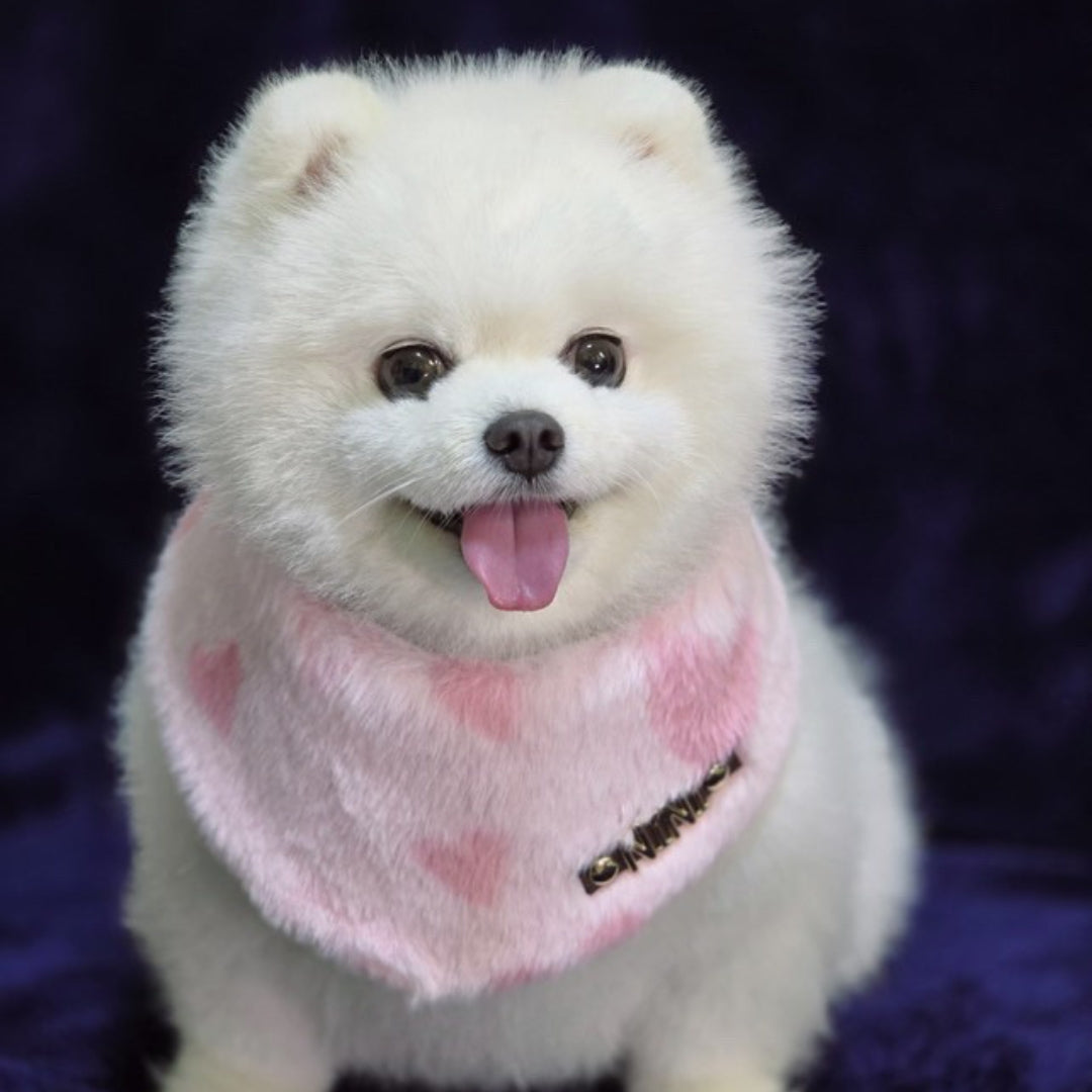 Custom Pet Bandana - Love's Embrace