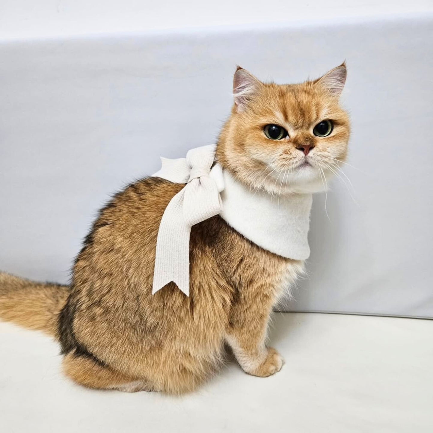 Custom Pet Bandana - Snowy Puff