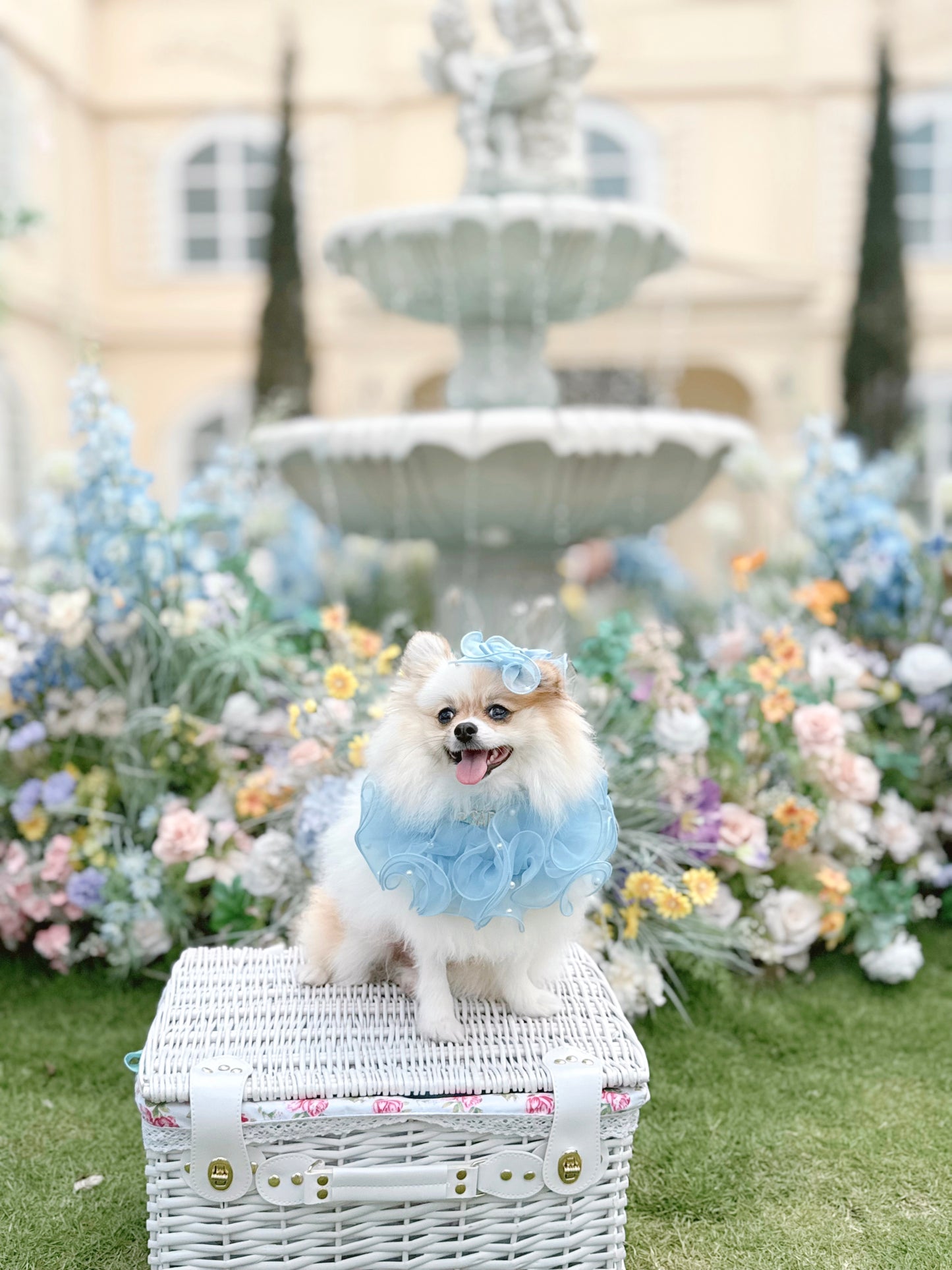 Royal Satin Bloom Blue - Custom Pet Bandana