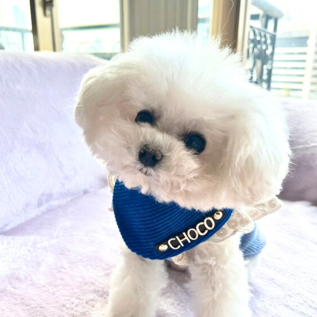 Custom Pet Bandana - Blue Infinity