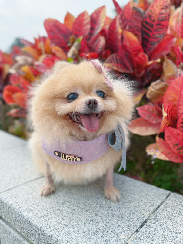 Custom Pet Bandana - Lavender Bliss