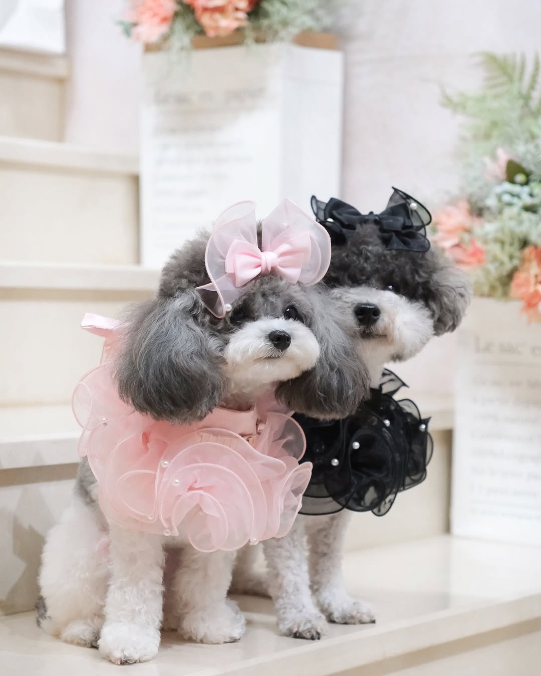Royal Satin Bloom Pink - Custom Pet Bandana