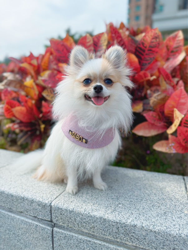 Custom Pet Bandana - Lavender Bliss