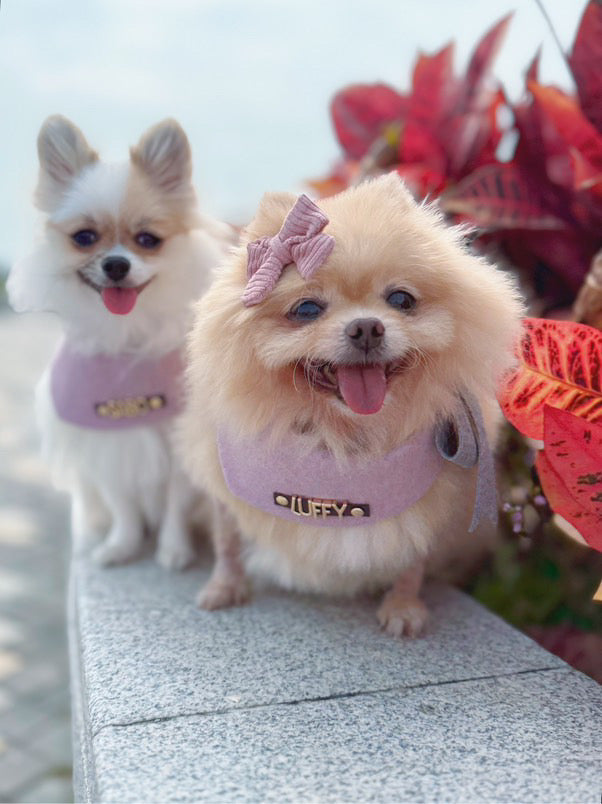 Custom Pet Bandana - Lavender Bliss