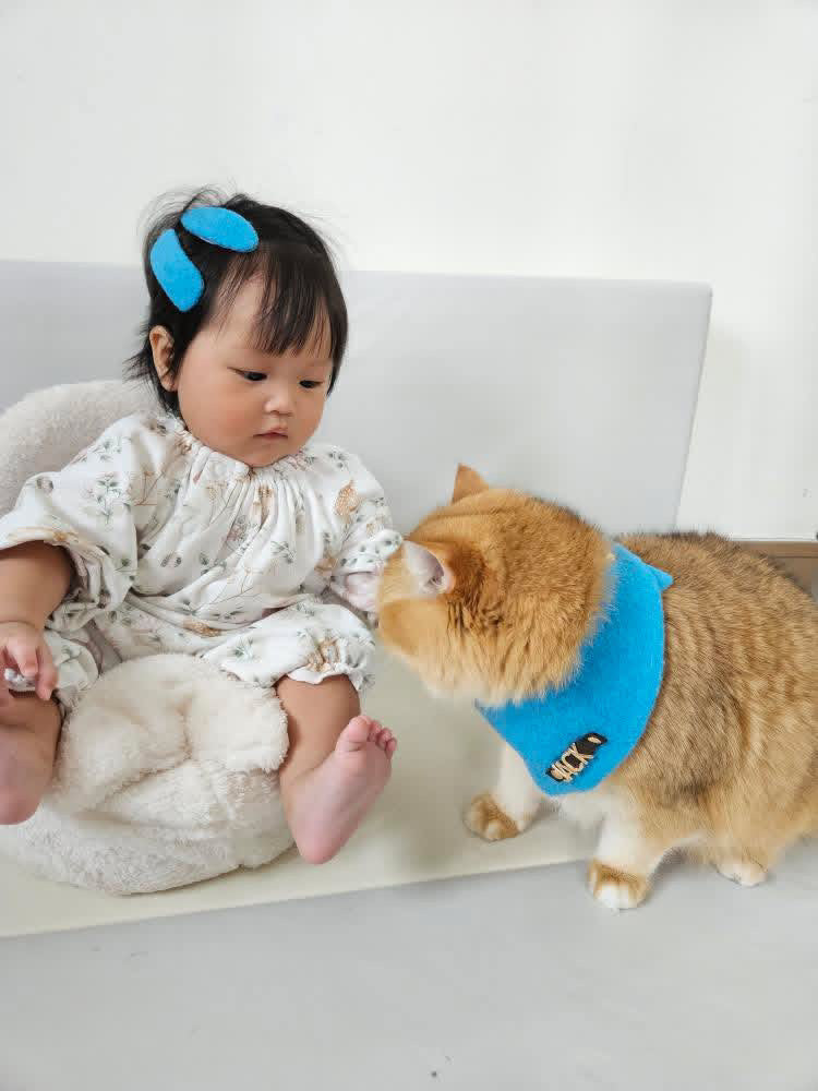 Custom Pet Bandana - Sky Breeze