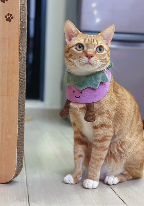 Eggplant - Pet Bandana