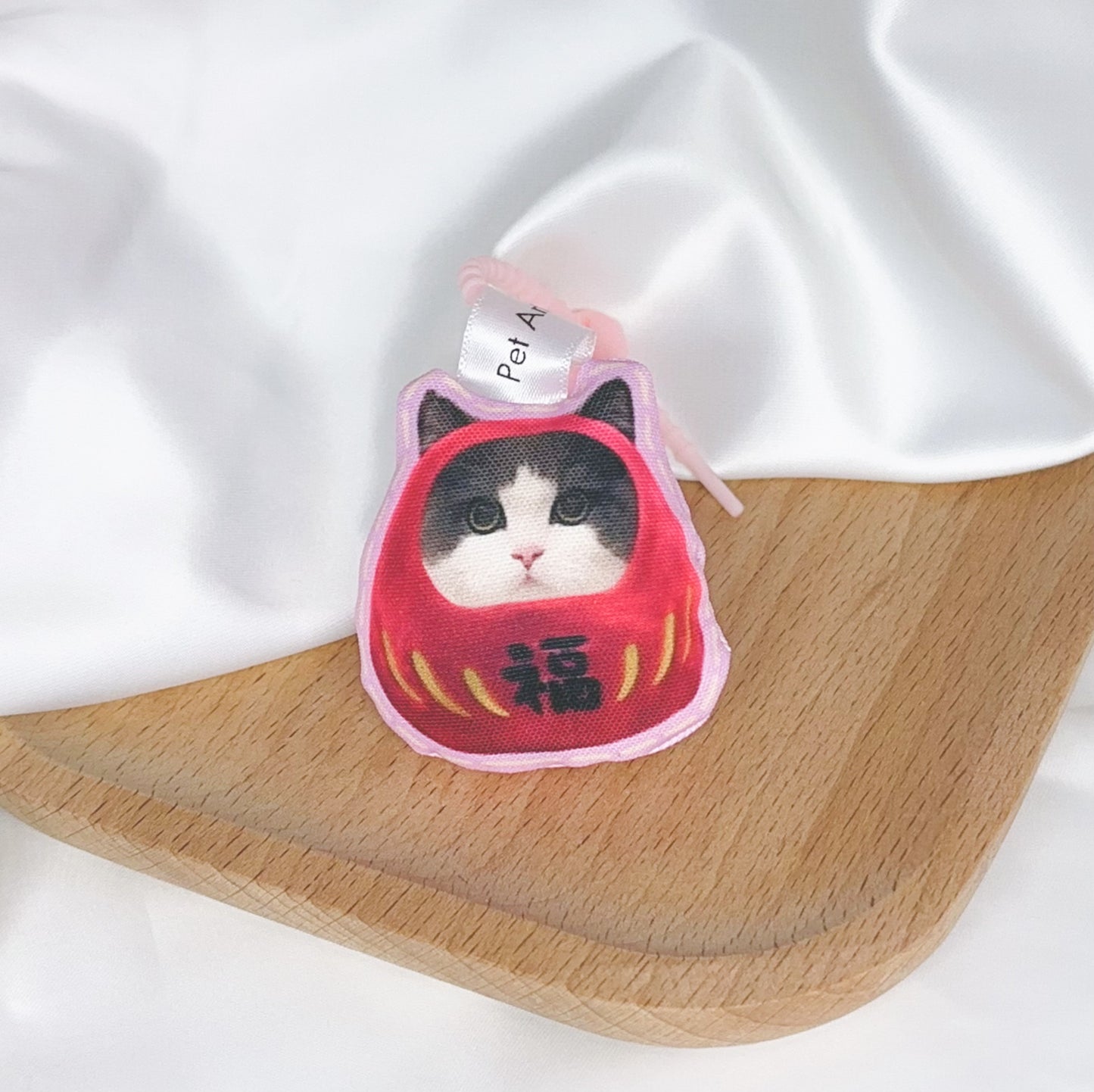 Pet in DARUMA doll - British Shorthair Cat