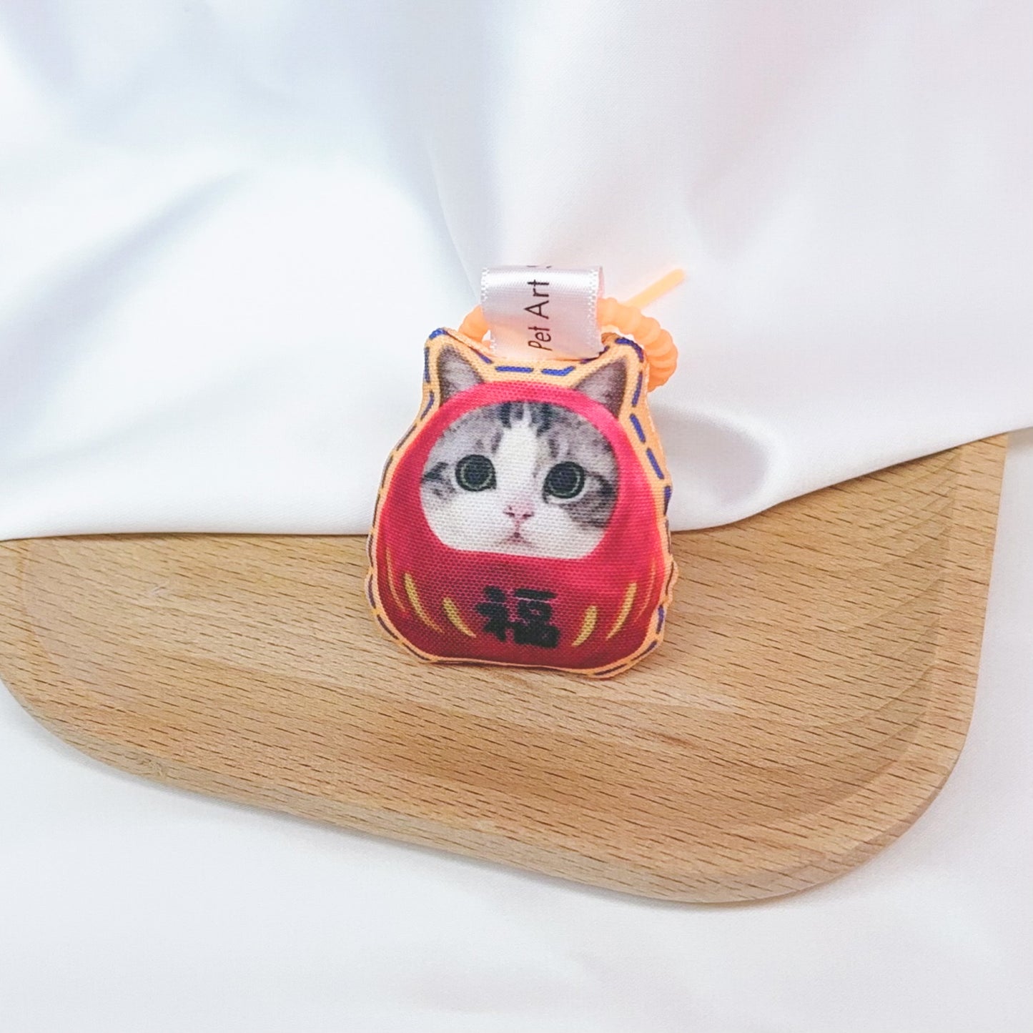Pet in DARUMA doll - American Shorthair Cat