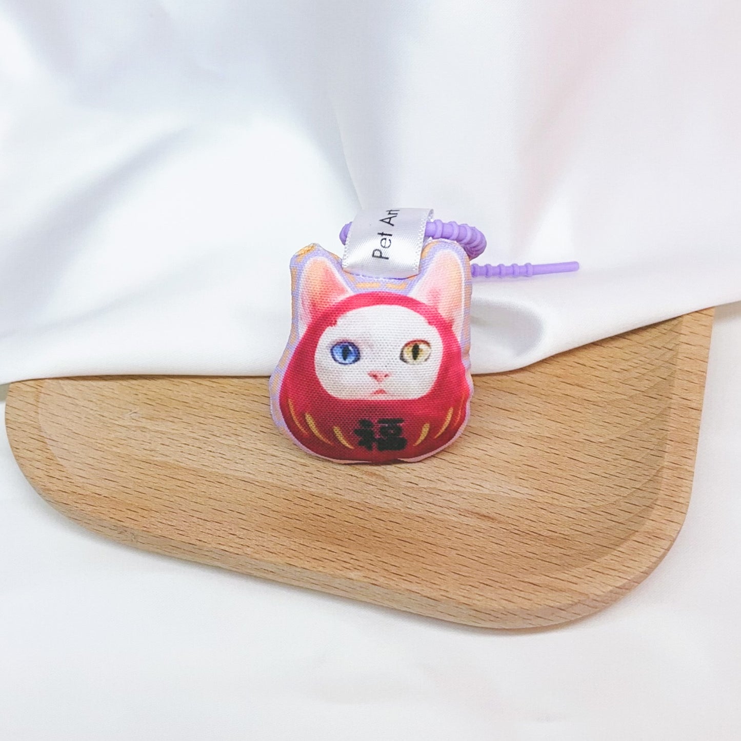 Pet in DARUMA doll - Devon Rex Cat