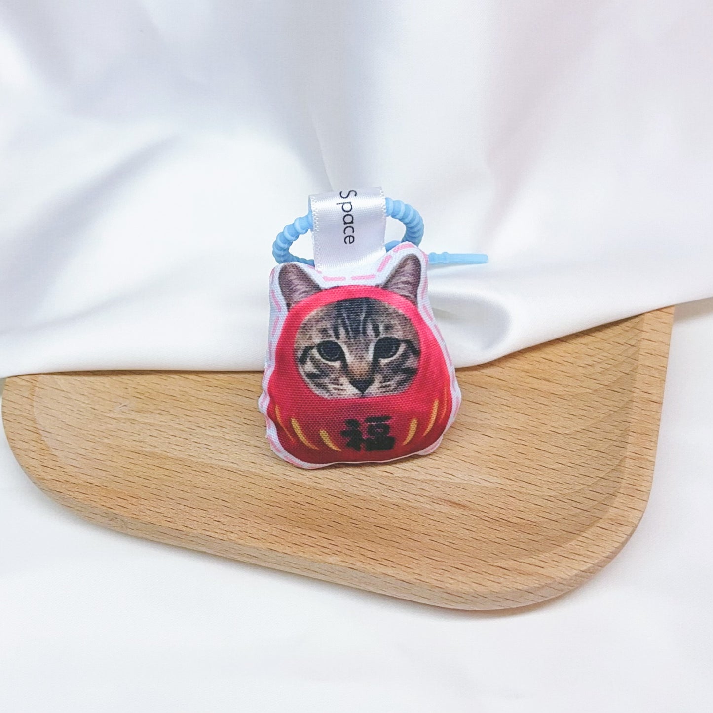 Pet in DARUMA doll - Domestic Cat