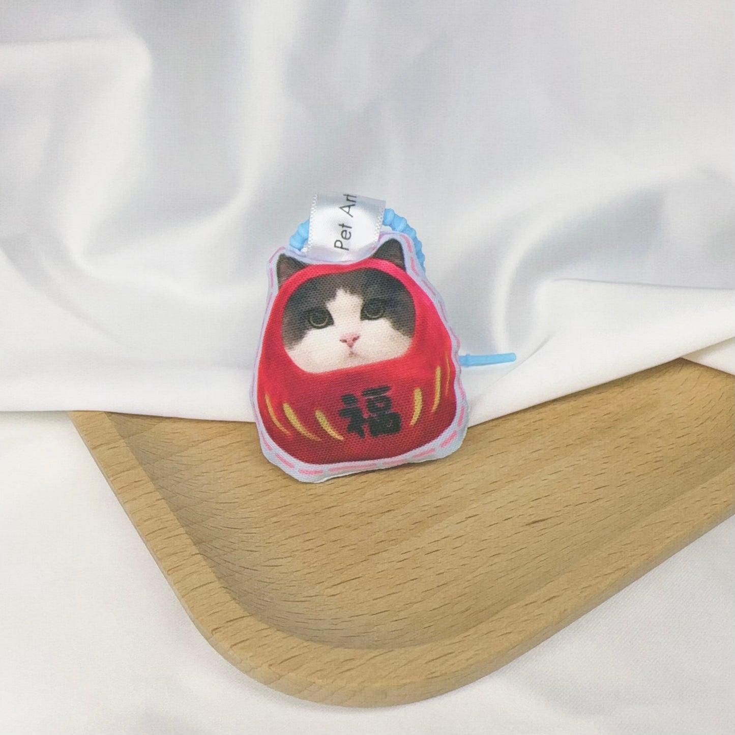 Pet in DARUMA doll - British Shorthair Cat
