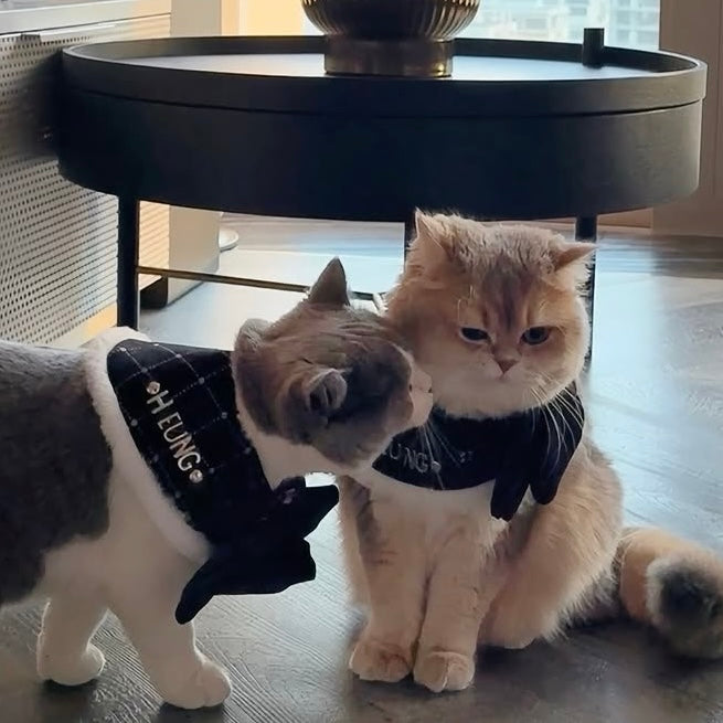 Custom Pet Bandana - Velvet Luxe