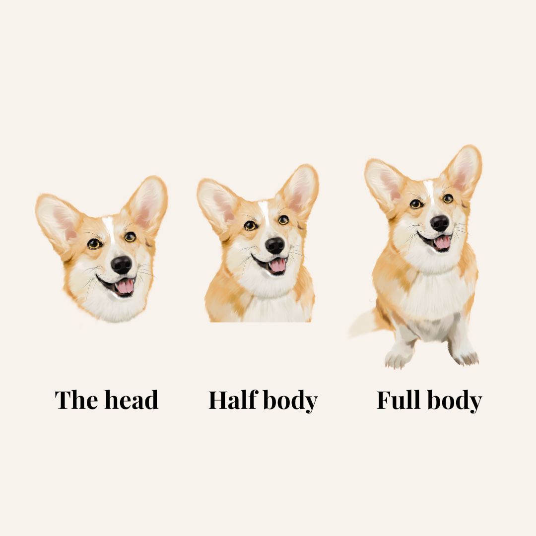 Draw the extra pet