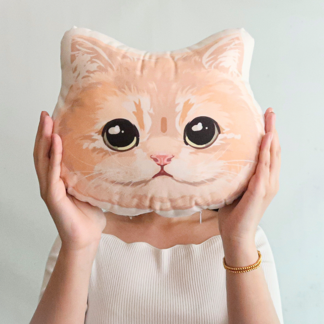 Custom Cushion