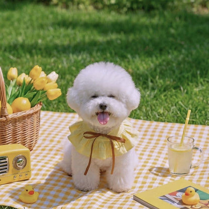 Summer Whisper (Honey) - Pet Bib