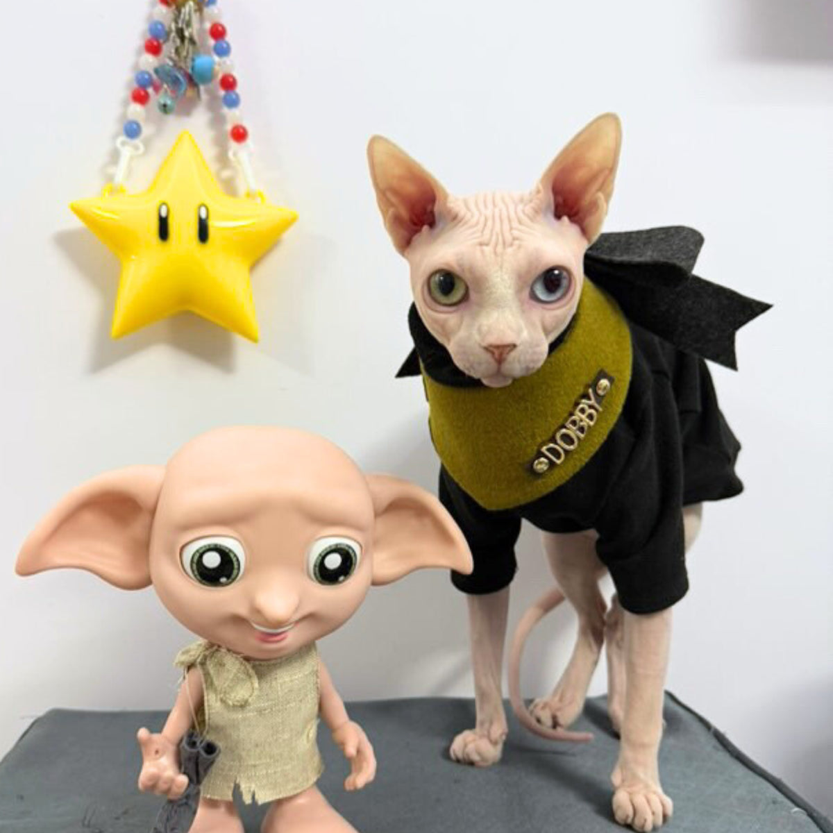 Custom Pet Bandana - Oliver Whisper