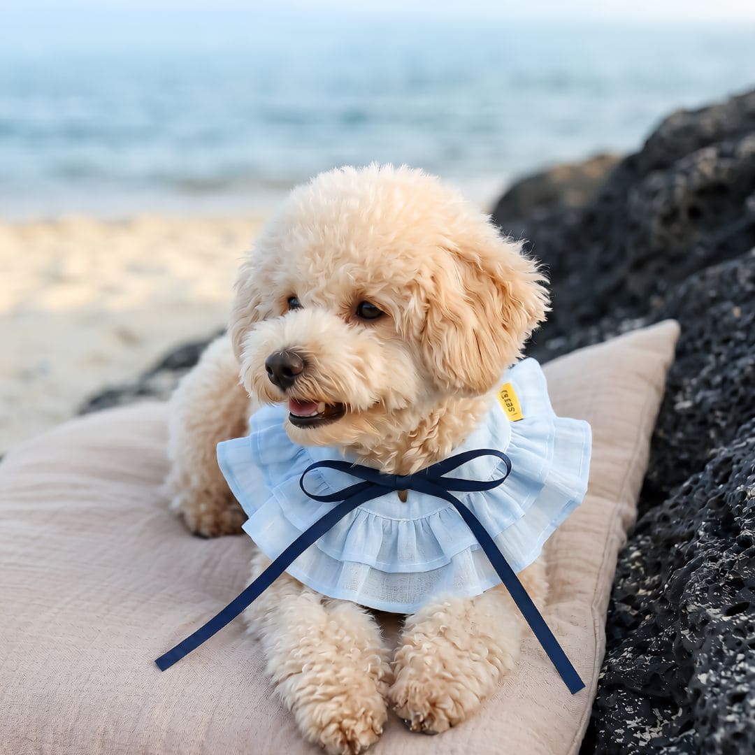 Summer Whisper (Seabreeze) - Pet Bib