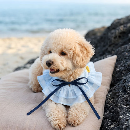 Summer Whisper (Seabreeze) - Pet Bib