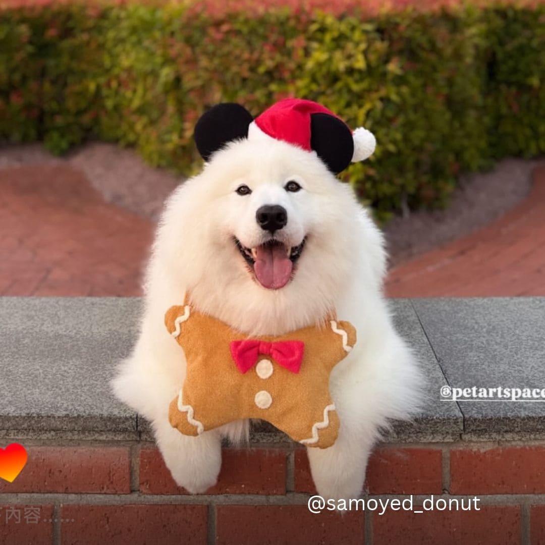 Gingerbread Man - Pet Bib