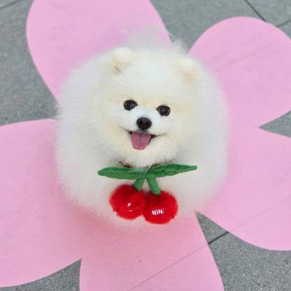Cherry - Pet Bib