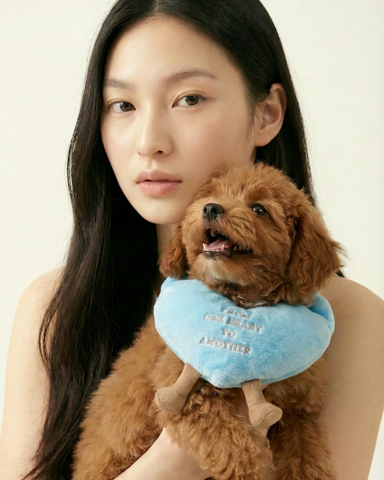 From One Heart To Another- Pet Bib