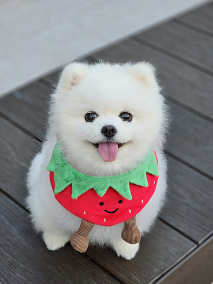 Strawberry - Pet Bandana