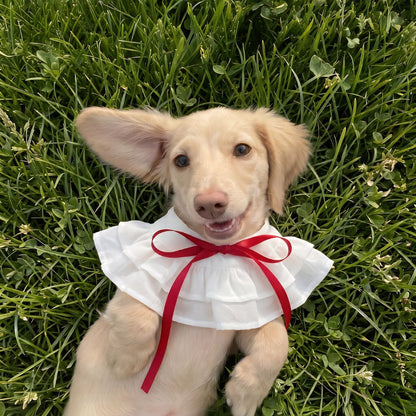 Summer Whisper (Cream) - Pet Bib