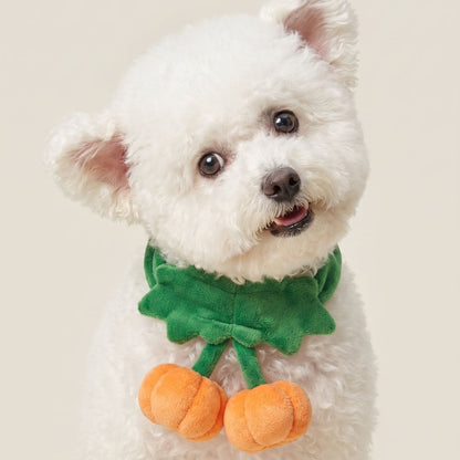 2 Little Pumpkins - Pet Bib