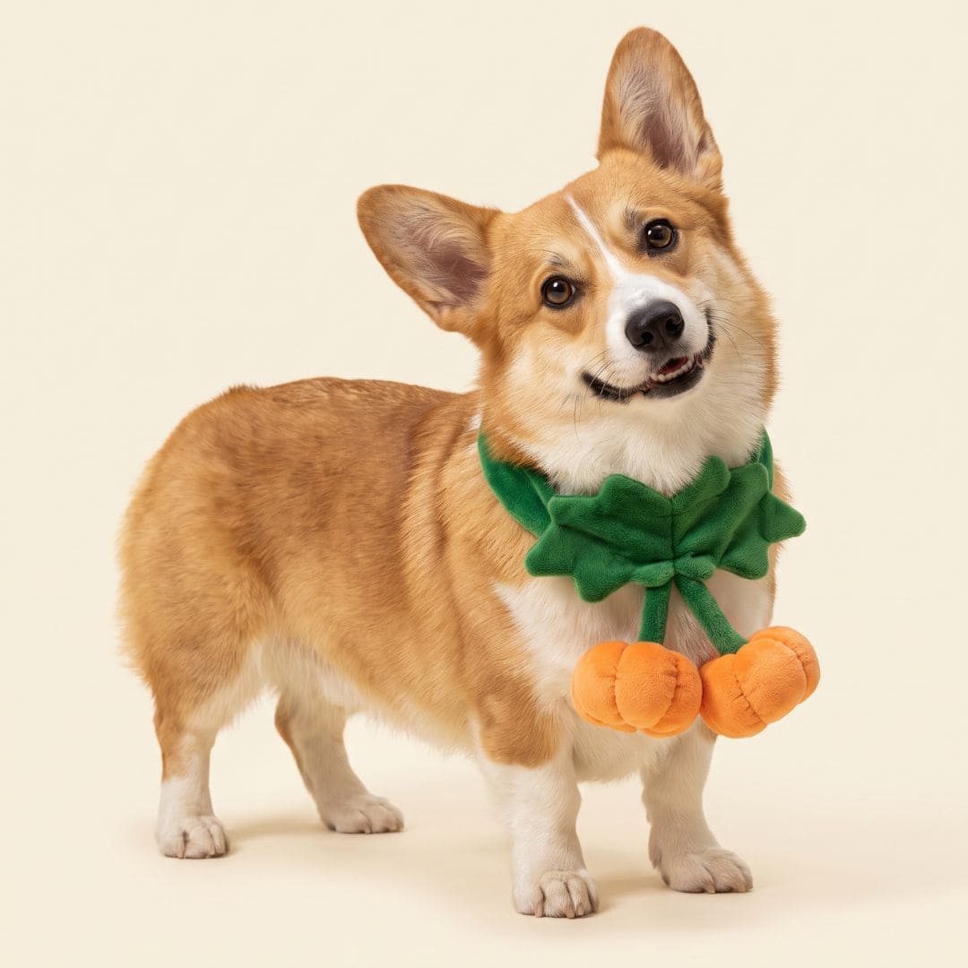 2 Little Pumpkins - Pet Bib