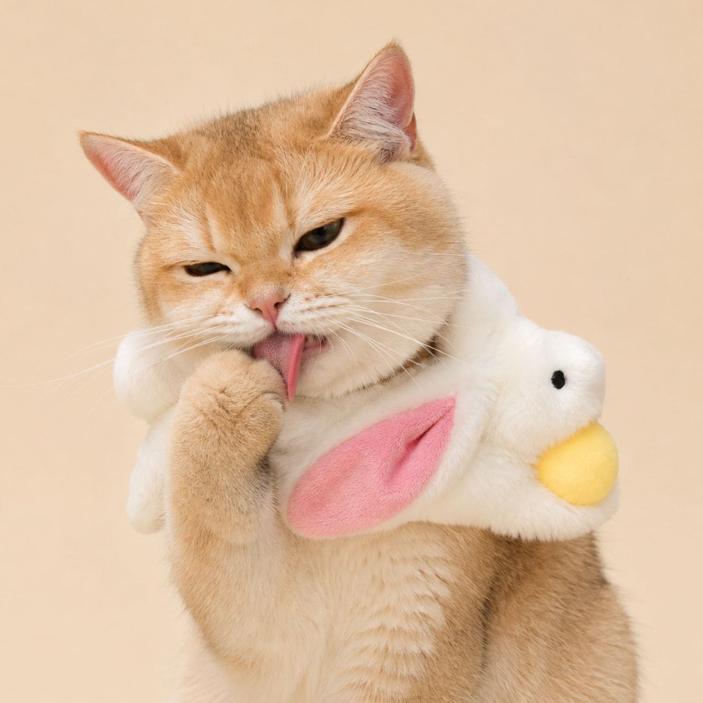 Bunny Meets Moon - Pet Bib