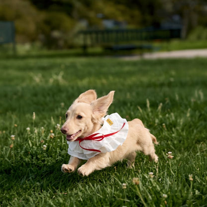 Summer Whisper (Cream) - Pet Bib