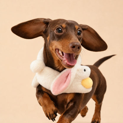 Bunny Meets Moon - Pet Bib