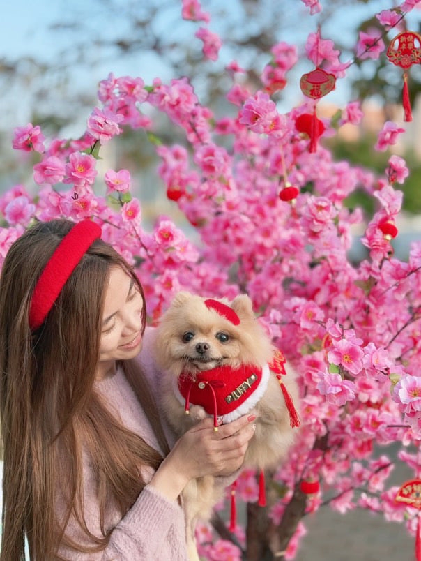 Custom Pet Bandana - Chinese Red