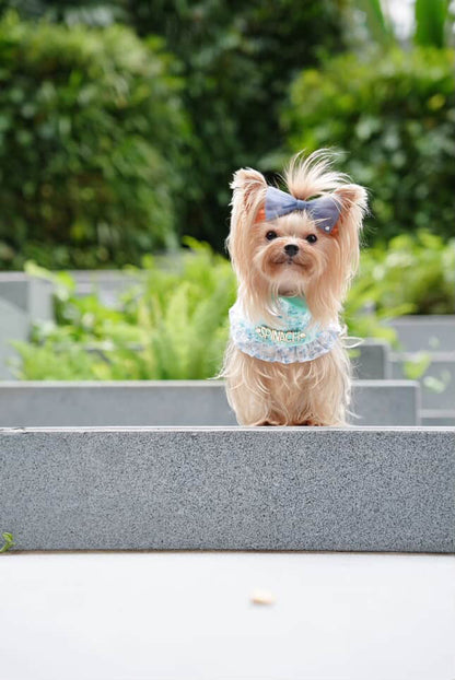 Custom Pet Bandana - Azure Garden