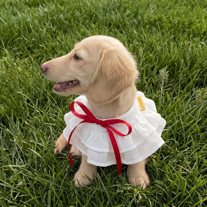 Summer Whisper (Cream) - Pet Bib