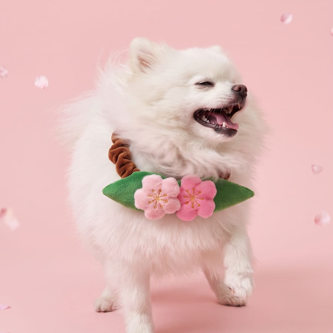 Sakura - Pet Bib