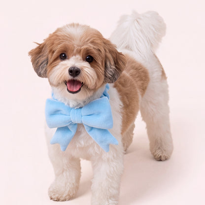 The Bow (Blue) - Pet Bib