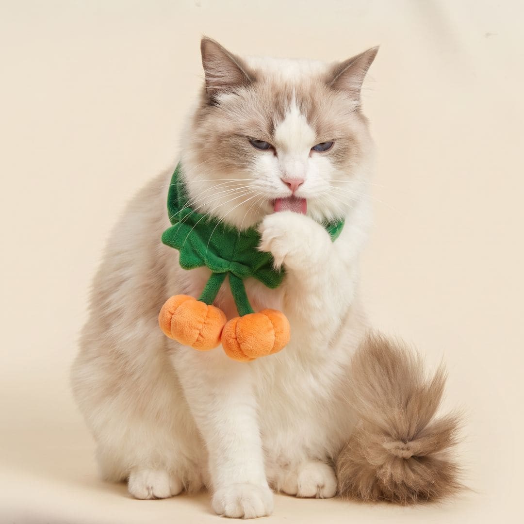 2 Little Pumpkins - Pet Bib