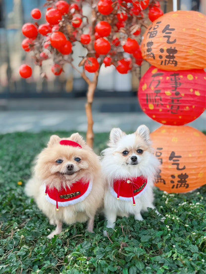 Custom Pet Bandana - Chinese Red