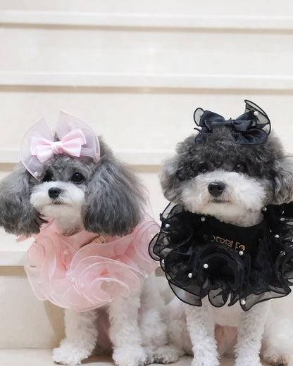 Royal Satin Bloom Black - Custom Pet Bandana