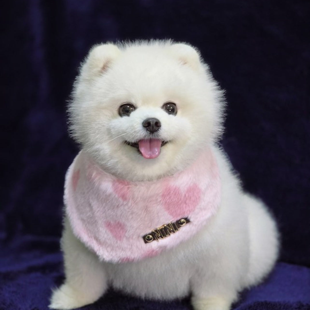 Custom Pet Bandana - Love's Embrace