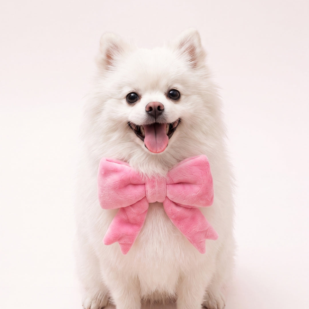 The Bow (Pink) - Pet Bib